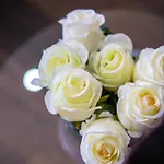 Villa Noel Međugorje